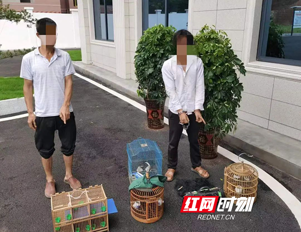 衡南警方破获2起非法狩猎案，抓获3名犯罪嫌疑人