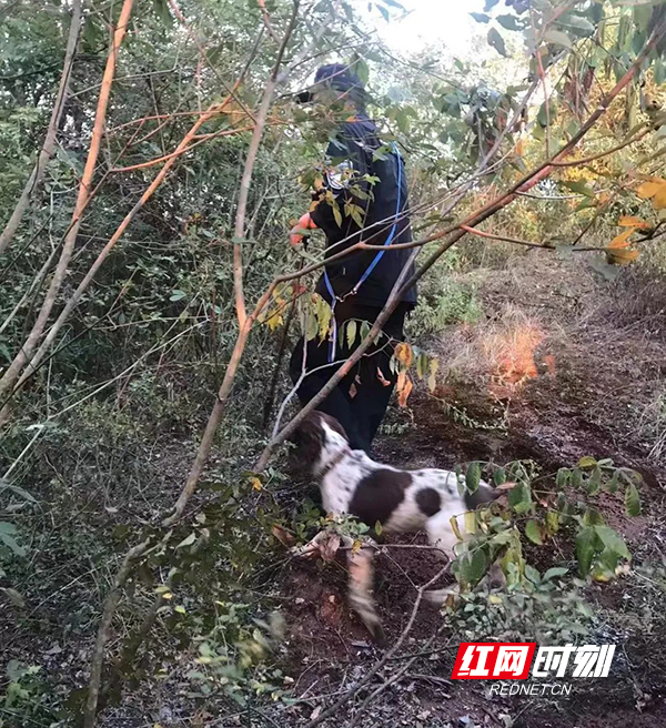 常宁：老人走失三天，警民合力找回