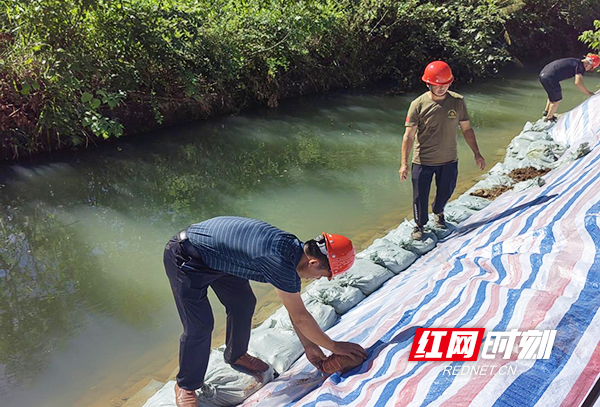 衡山：九观桥水库开闸送水 为农田“解渴”保丰收