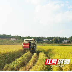 衡山县白果镇：抓好疫情防控 生产生活秩序有序恢复