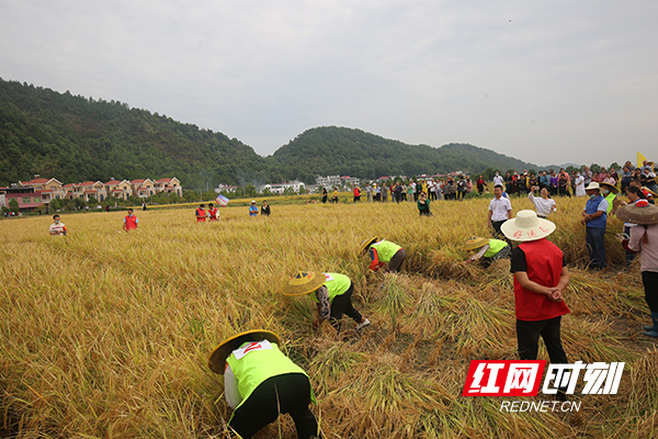 衡阳县：农民趣味运动会庆丰收