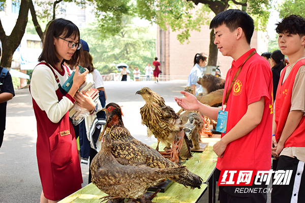 衡阳师范学院：莘莘学子乐享五道“科普大餐”