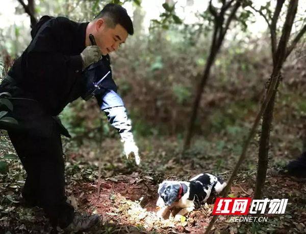 全国最美基层民警李江：与“犬”共舞 书写警营里的“汪者”荣耀