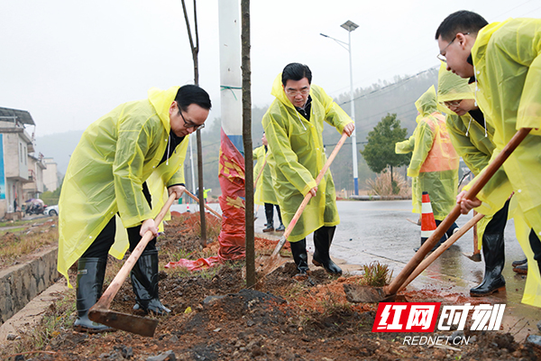 耒阳：义务植树添新绿 生态文明底色浓