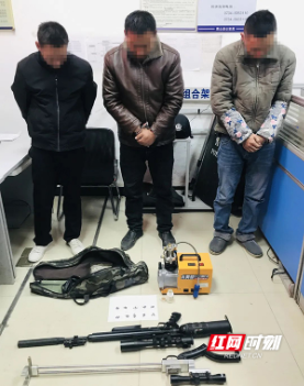 持气枪打鸟，这三人被拘