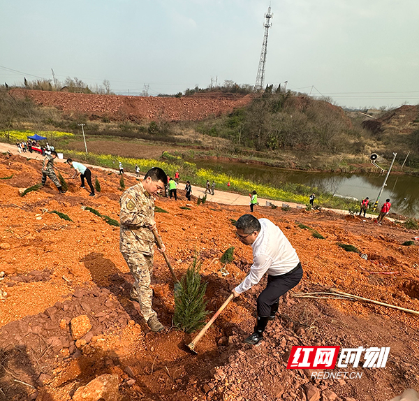 衡阳县：履行植树义务，共建美丽蒸阳