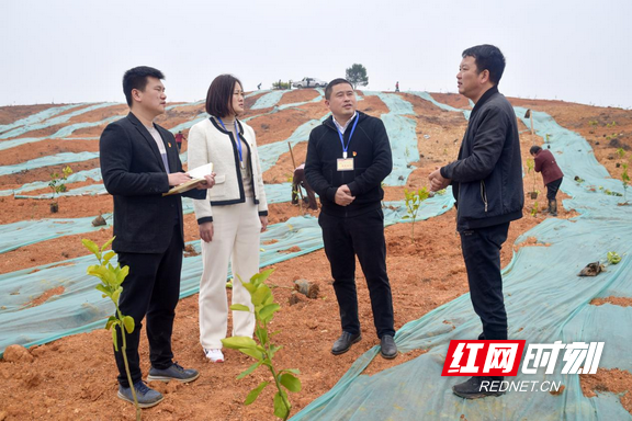 湖南衡东：坚持“快清严实”工作标准，护航“三湘护农”走深走实