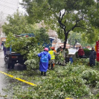 石鼓区潇湘街道：铲积雪 清断枝 保安全