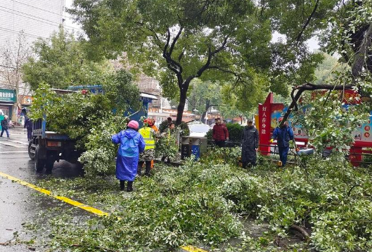 石鼓区潇湘街道：铲积雪 清断枝 保安全