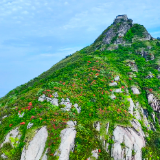 湖南南岳：高山杜鹃迎客来