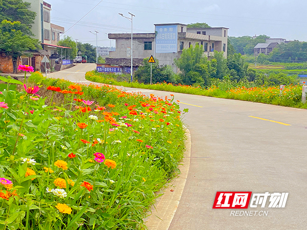 标准化助力乡村振兴 耒阳市城乡标准化治理“花样”多