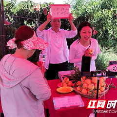 爱心助农！三天销售黄桃8600斤，耒阳市融媒公益助农在行动