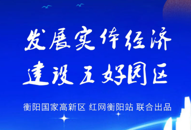 图解|衡阳高新区：发展实体经济  建设五好园区 勠力同心推进经济社会高质量发展