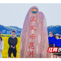 拍摄+直播！湖南交通工程学院“夏乡之源”志愿团推介这块宝藏地