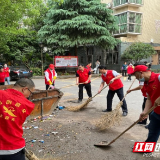 衡东：“衡阳群众”志愿者进社区清洁家园