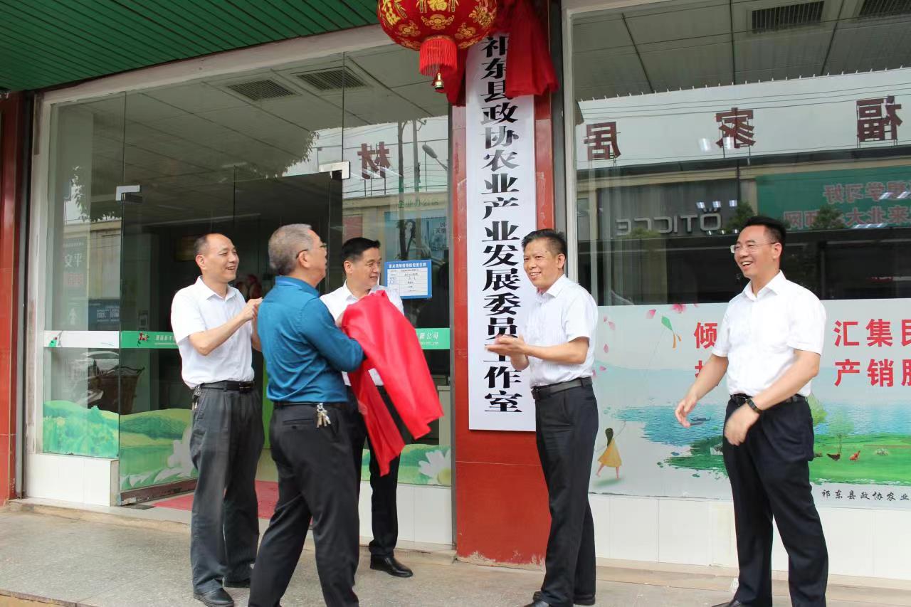 祁东县政协成立专家委员工作室 服务乡村振兴产业发展