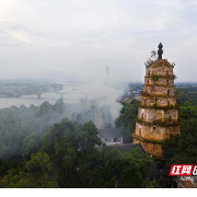 珠晖区：守住历史文化灵魂 感受古色寻根魅力