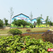 湖南珠晖：全域推进标准治理 从“家家美”到“处处美”