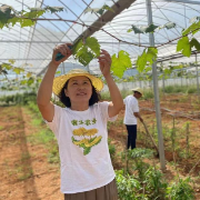 乡村振兴｜衡阳珠晖区：昔日小山村变身网红打卡地