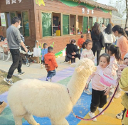 新春走基层∣珠晖区：乡村萌宠成“网红” 最好玩的地方在堰头