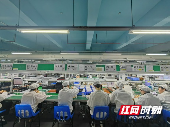 起步就起势、提速更提质！衡阳高新区各企业开足马力忙生产