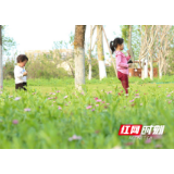 春林初盛 雨后东洲迎客来【图】