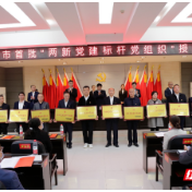 喜报！衡阳市图书馆学会党支部被授予“两新党建标杆党组织”