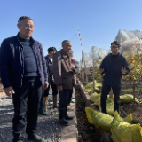 蒸湘区:发挥科技服务优势 开展水果种植培训