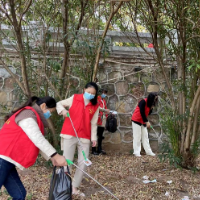 保护母亲河 雁峰区先锋街道开展志愿服务活动