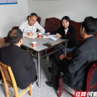 衡南自然资源局：乡村振兴“动”起来