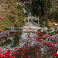 景区遭遇停车难？常宁标准化建设解难题