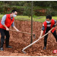 常宁以“通道绿”助力“标准化”