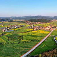 标准化 新变化 | 衡南花桥镇：扎实推进城乡治理，环境面貌焕然一新