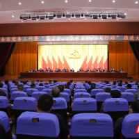 全力推进聚力中心化攻坚年五大行动 雁峰争当领头雁