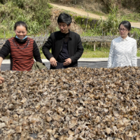 衡东：为乡镇企业送“科技力量”
