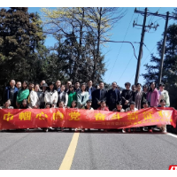 巾帼心向党 奋斗新征程 衡阳市国资委开展妇女节登山活动