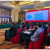 辣味十足！祁东县开展党委（党组）书记抓基层党建工作述职评议