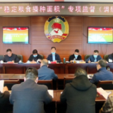 祁东政协：专项监督稳定粮食播种面积工作