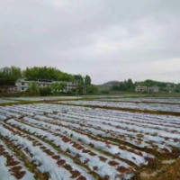 常宁官水村：乡村振兴 产业先行