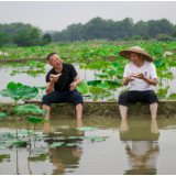 组图 | 湖南常宁：田间小憩享夏意