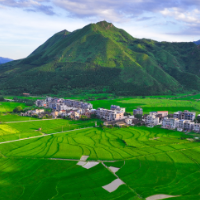 组图 | 来湖南常宁，欣赏大地“调色盘”