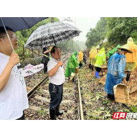 衡东：党员干部践初心 防汛一线党旗红