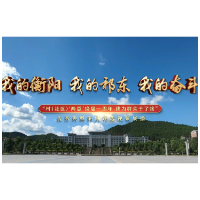 视频 | 祁东：党建聚合力 强基见实效