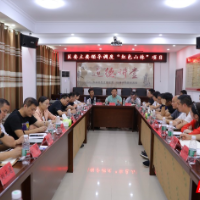 雁峰：坚守初心、坚持精心，确保高标准高质量完成红色山林项目建设