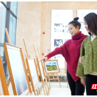 常宁市：约清廉之展 扬廉洁之风