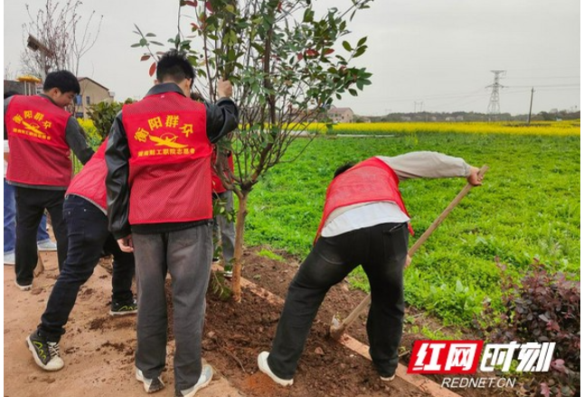 “植”此青绿 不负春光 湖南财工职院志愿者赴岘山镇义务植树