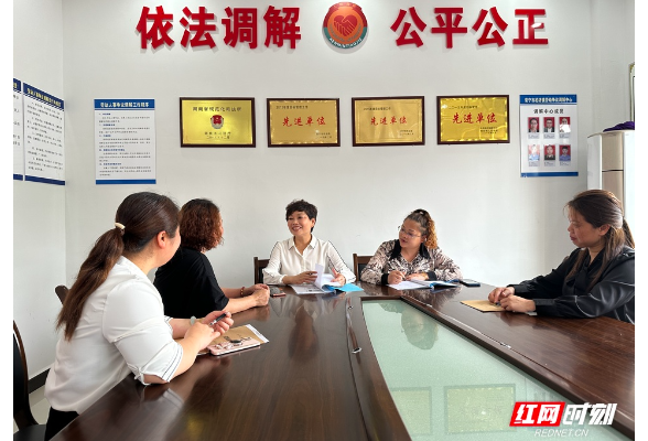 湖南常宁：看乡村调解女能手，“她”正发光