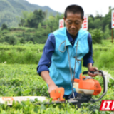 请人民阅卷⑥|脱贫、致富、奔小康 常宁交上满意答卷