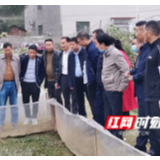 先“起而行之” 再“坐而论道” 衡南县科技专家服务团“有一套”