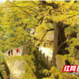 衡阳：“吃喝玩乐”链起来 文旅产业加把“火”